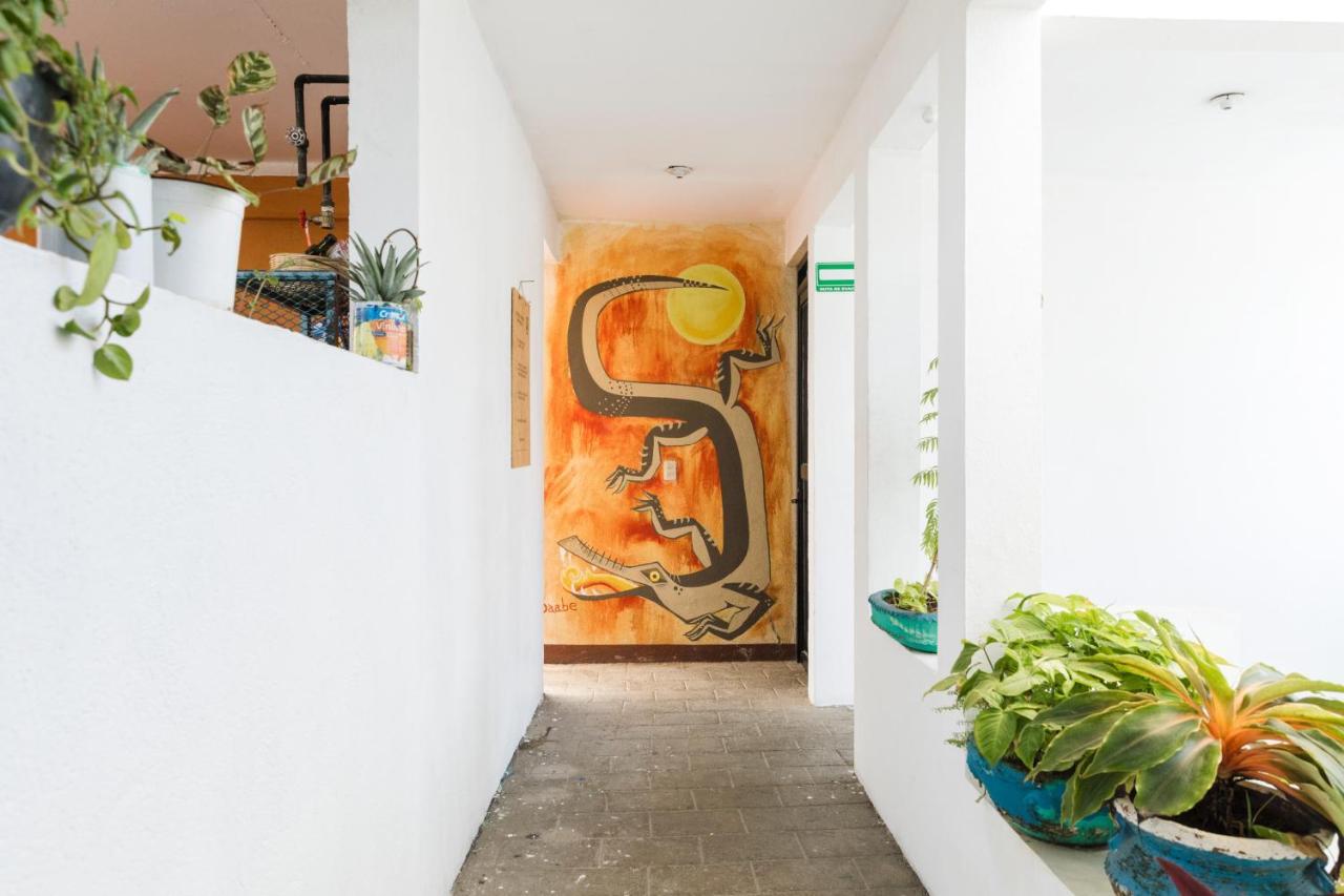 푸에르토 에스콘디도 Residencia Artistica 호스텔 외부 사진